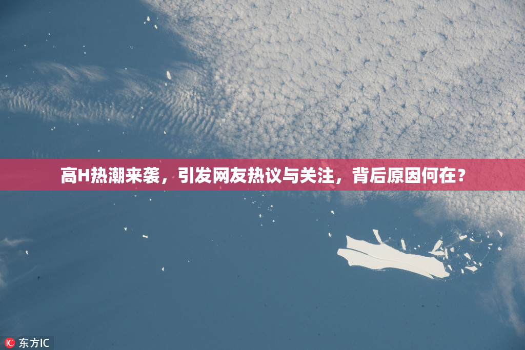高H热潮来袭，引发网友热议与关注，背后原因何在？