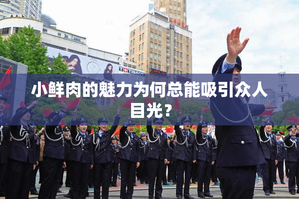 小鲜肉的魅力为何总能吸引众人目光？