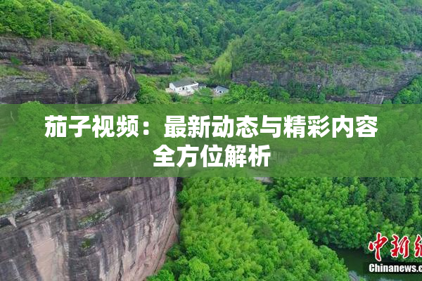 茄子视频：最新动态与精彩内容全方位解析