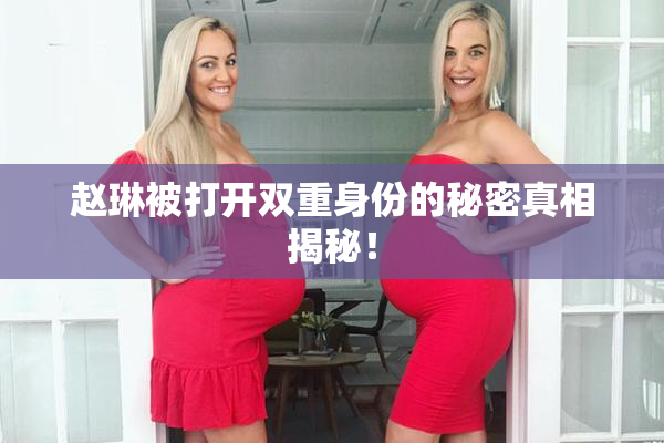 赵琳被打开双重身份的秘密真相揭秘！