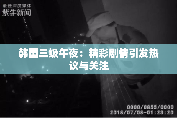 韩国三级午夜：精彩剧情引发热议与关注