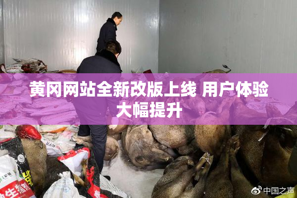 黄冈网站全新改版上线 用户体验大幅提升