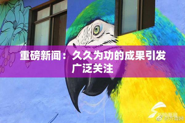 重磅新闻：久久为功的成果引发广泛关注