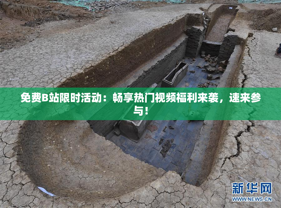 免费B站限时活动：畅享热门视频福利来袭，速来参与！