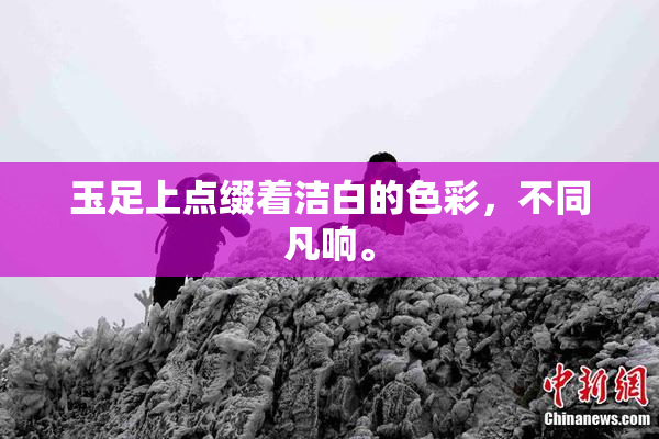 玉足上点缀着洁白的色彩，不同凡响。