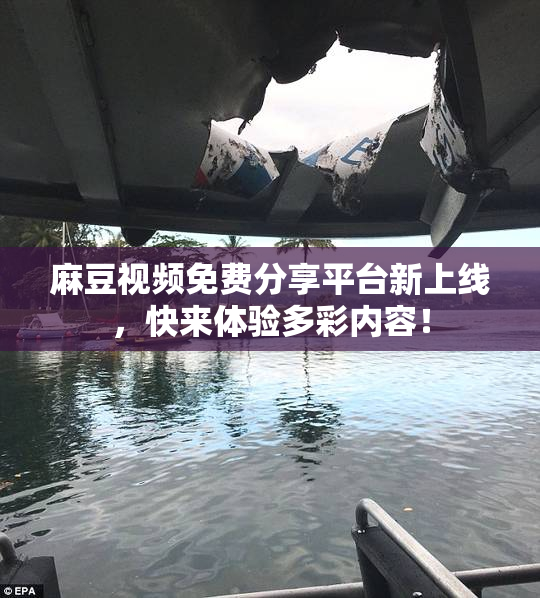 麻豆视频免费分享平台新上线，快来体验多彩内容！