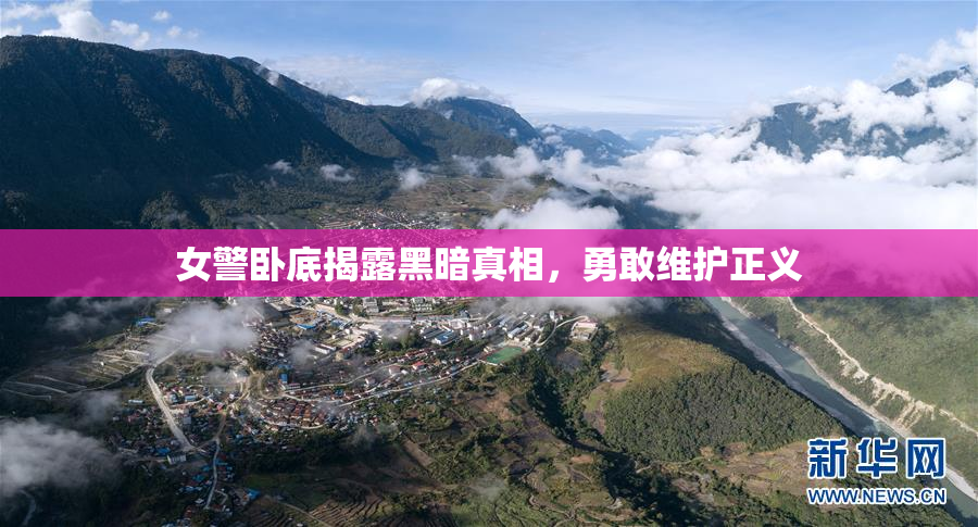 女警卧底揭露黑暗真相，勇敢维护正义