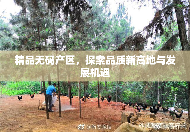 精品无码产区，探索品质新高地与发展机遇