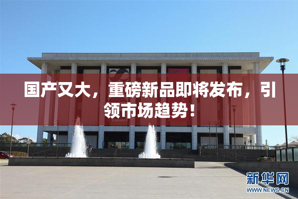 国产又大，重磅新品即将发布，引领市场趋势！
