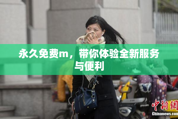 永久免费m，带你体验全新服务与便利