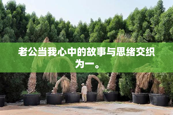 老公当我心中的故事与思绪交织为一。