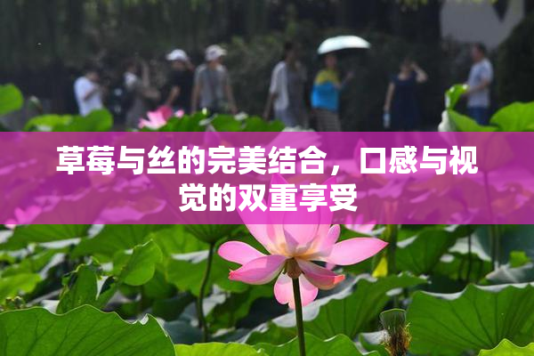 草莓与丝的完美结合，口感与视觉的双重享受