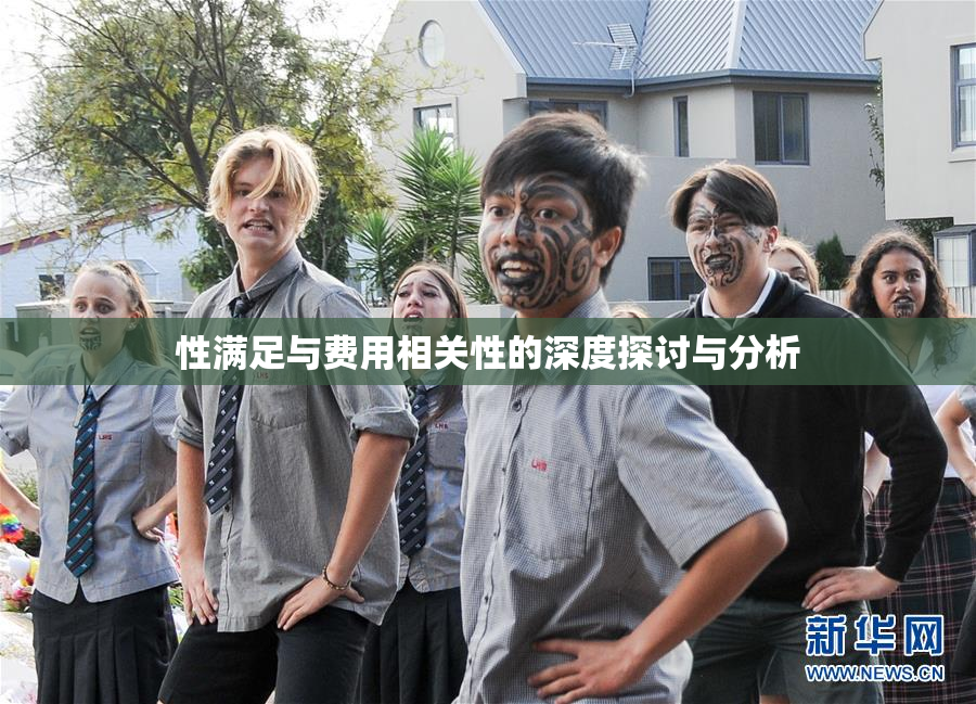 性满足与费用相关性的深度探讨与分析