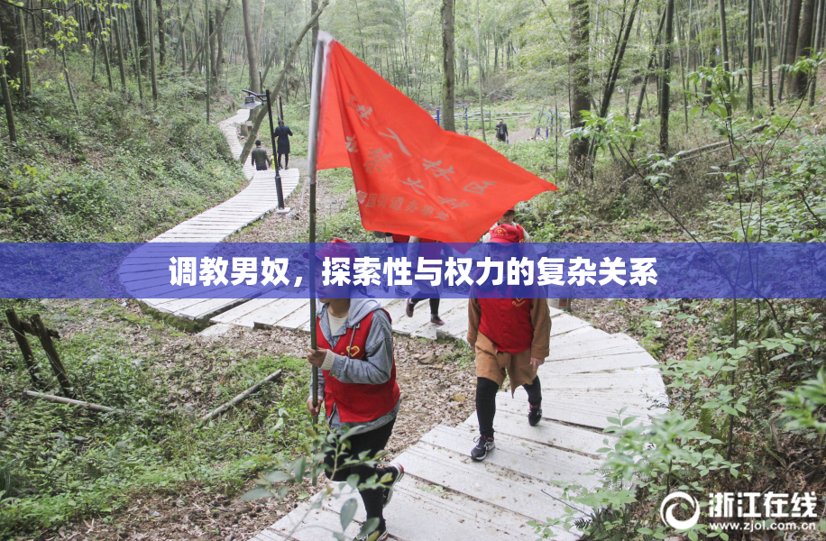 调教男奴，探索性与权力的复杂关系