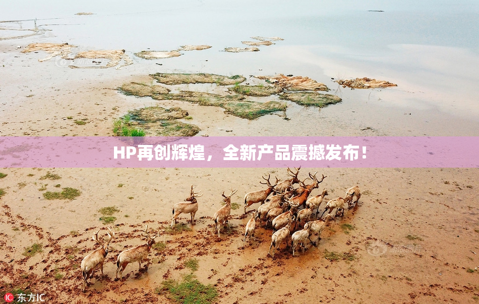 HP再创辉煌，全新产品震撼发布！