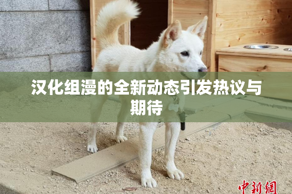 汉化组漫的全新动态引发热议与期待