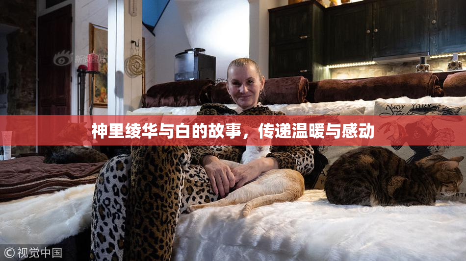 神里绫华与白的故事，传递温暖与感动