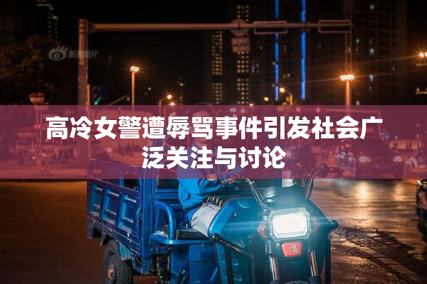 高冷女警遭辱骂事件引发社会广泛关注与讨论