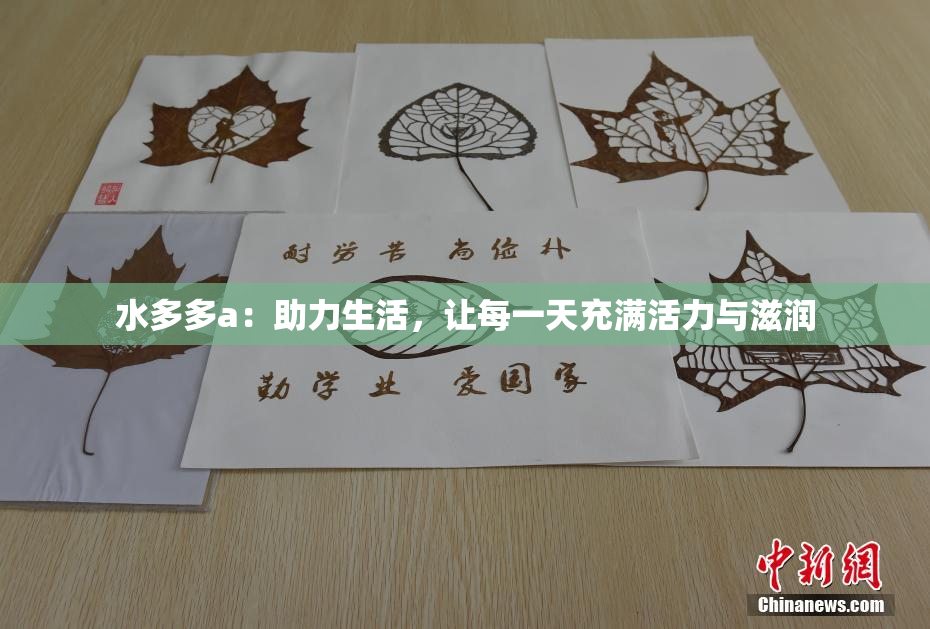 水多多a：助力生活，让每一天充满活力与滋润