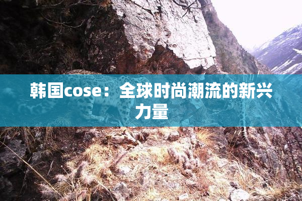 韩国cose：全球时尚潮流的新兴力量