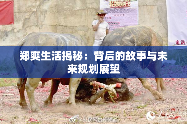 郑爽生活揭秘：背后的故事与未来规划展望