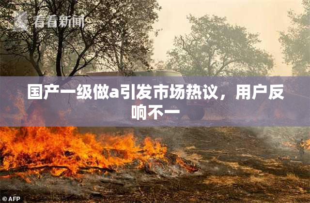国产一级做a引发市场热议，用户反响不一