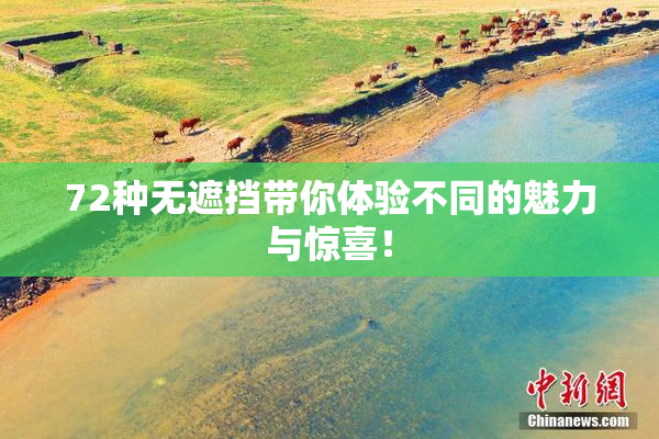 72种无遮挡带你体验不同的魅力与惊喜！