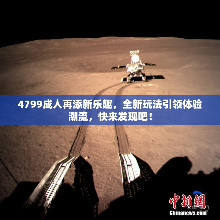 4799成人再添新乐趣，全新玩法引领体验潮流，快来发现吧！