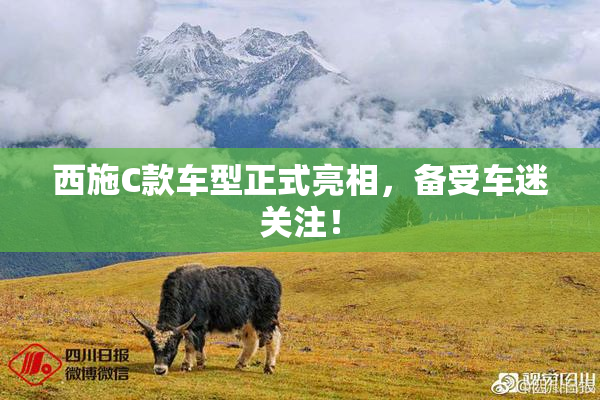西施C款车型正式亮相，备受车迷关注！