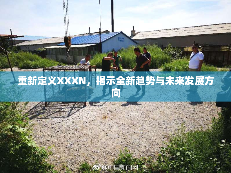 重新定义XXXN，揭示全新趋势与未来发展方向
