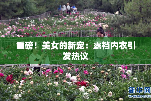 重磅！美女的新宠：露裆内衣引发热议