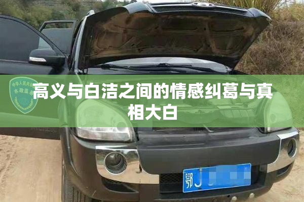 高义与白洁之间的情感纠葛与真相大白