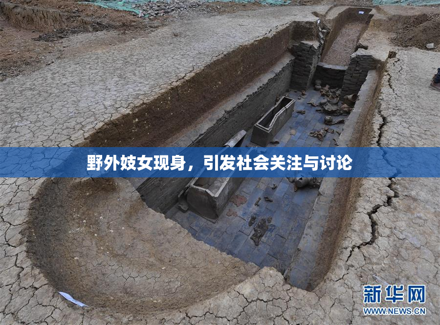野外妓女现身，引发社会关注与讨论