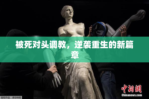 被死对头调教，逆袭重生的新篇章